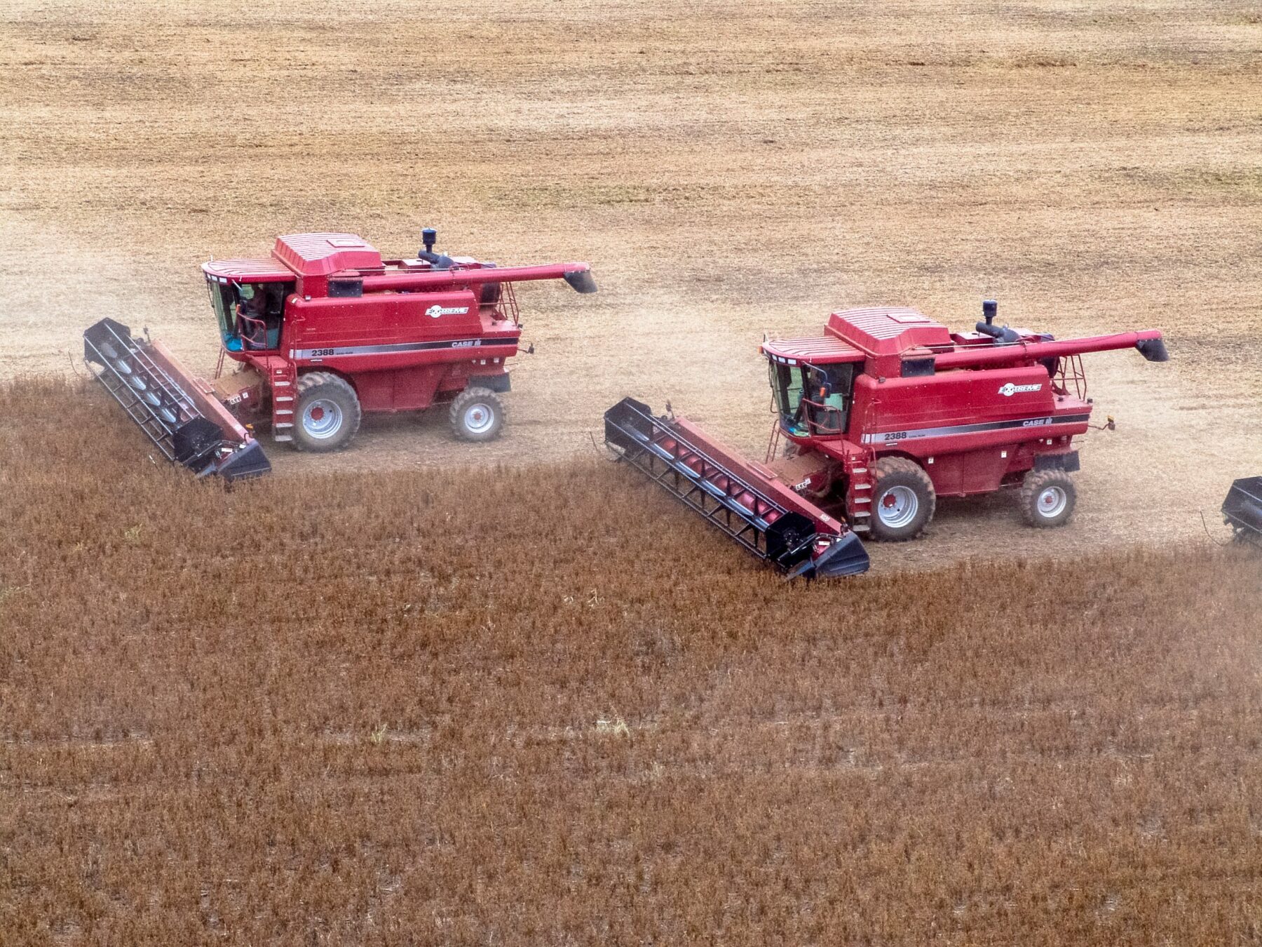 two red combines in wheat field