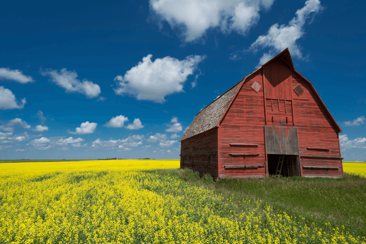Understanding the 2024 Canada Capital Gains Exemption Changes 