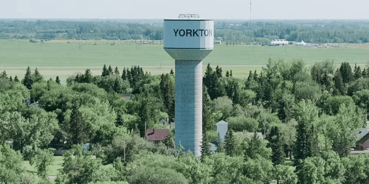 CPA Accounting & Business Advisory Services in Yorkton | Virtus Group