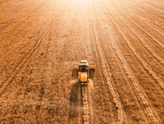 Combine-in-field-at-harvest-Virtus-Group-LLP
