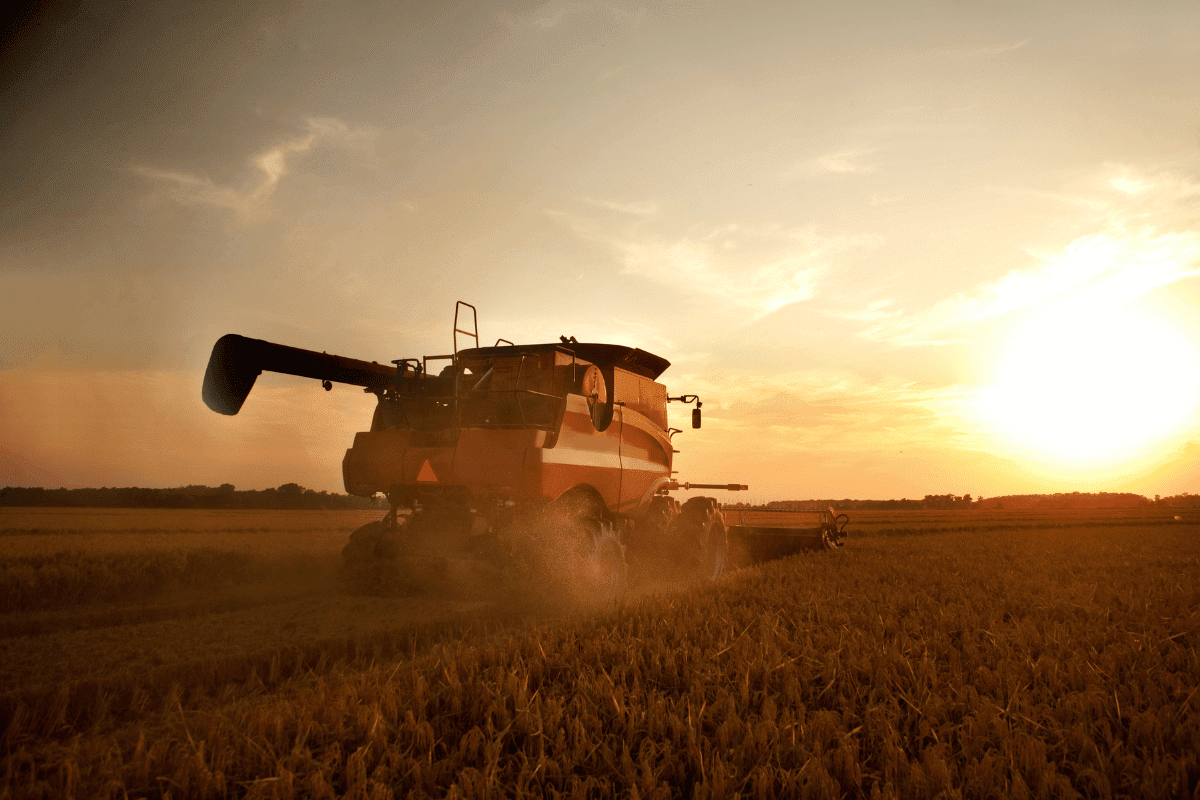 Farm Benchmarking - Virtus Group LLP